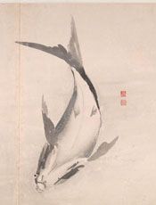 怪界（水族）