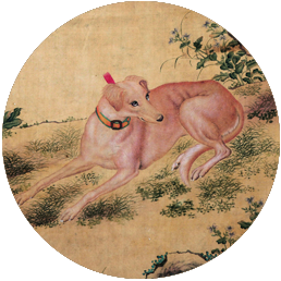 血族（妖）